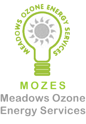 MOZES